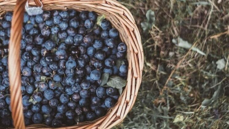 Как избавиться от ягодных пятен на одежде