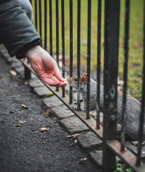 Расстояние от дома до забора соседа по нормам СНиП