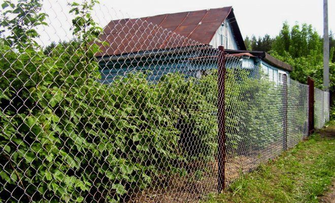 Как установить забор из сетки рабицы | Дела огородные ()