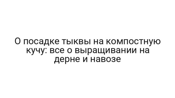О посадке тыквы на компостную кучу: все о выращивании на дерне и навозе