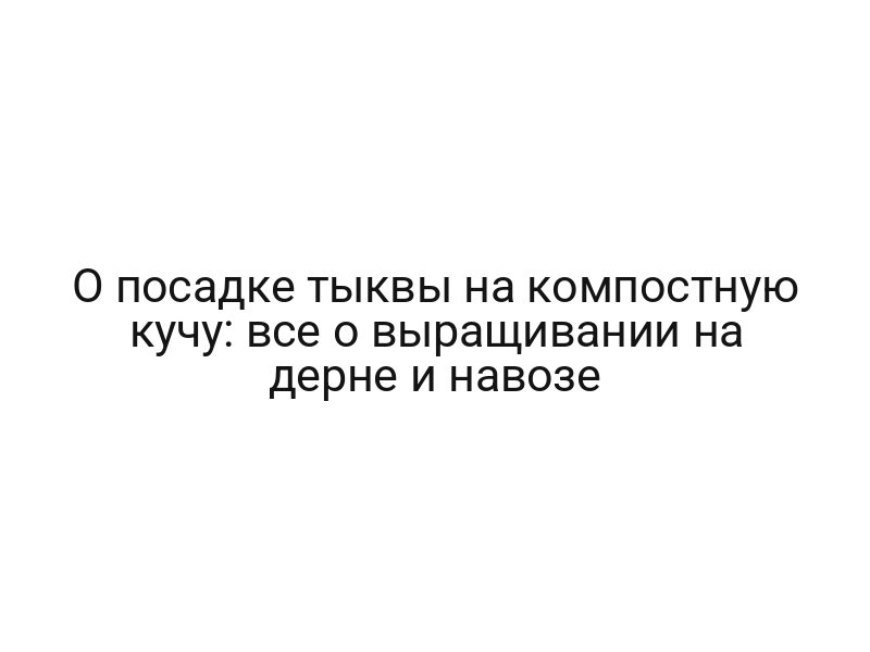 О посадке тыквы на компостную кучу: все о выращивании на дерне и навозе